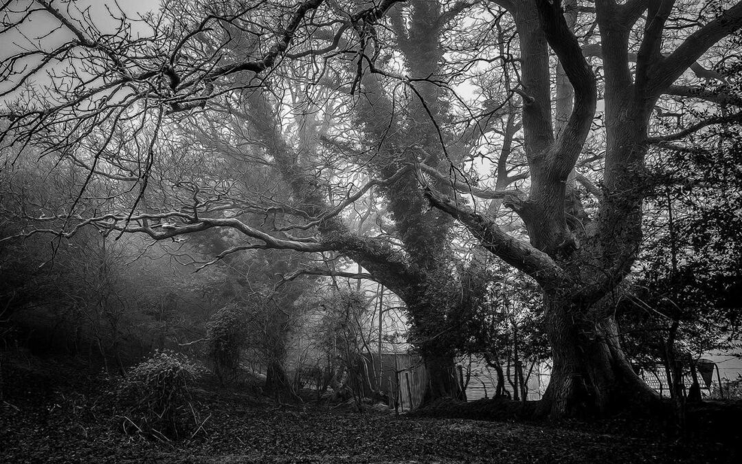 Quaerat quia nostrum consequatur sit quo aperiam