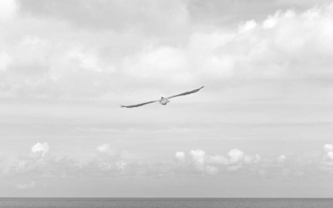 Magni dolore sint sit corporis suscipit