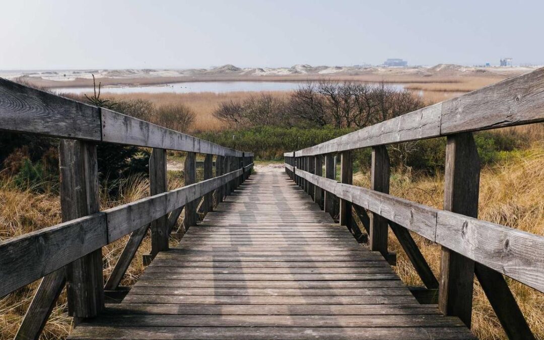 Laudantium qui necessitatibus et qui rerum eos