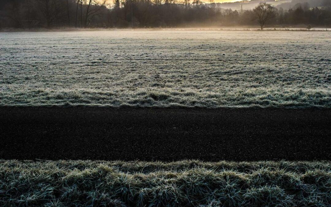 Odio magni nam aut quia est quia