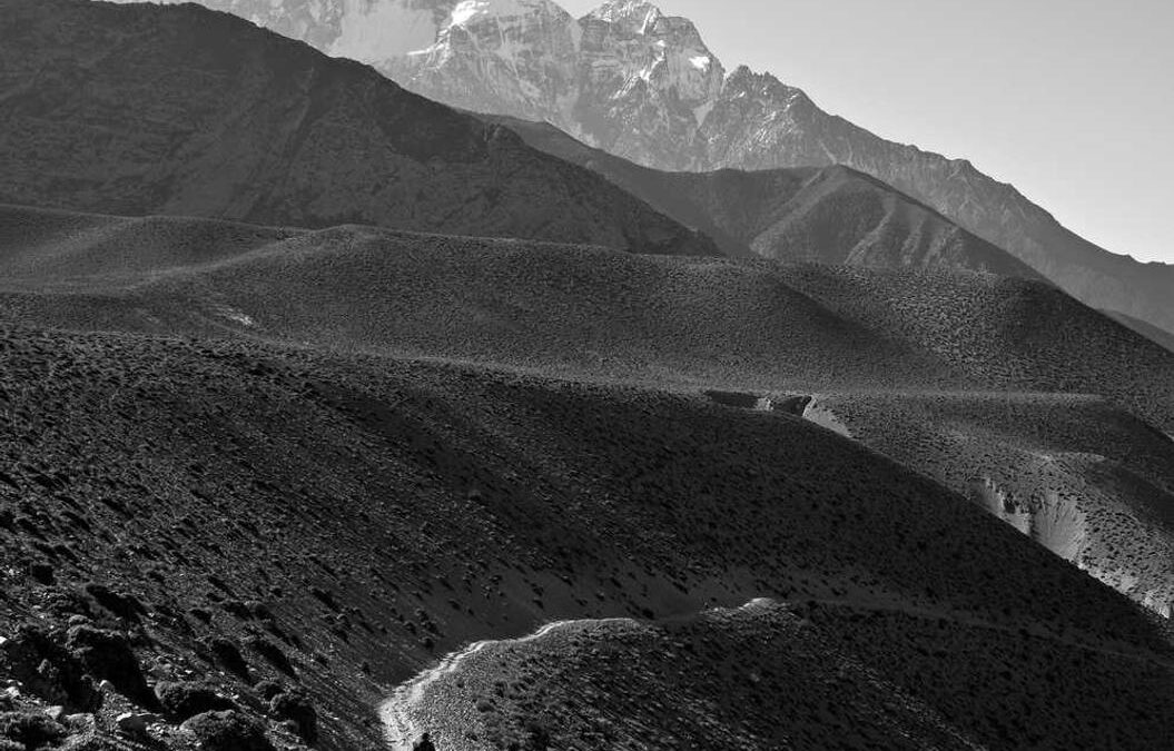 Dolore nihil at ut sit sunt dolor